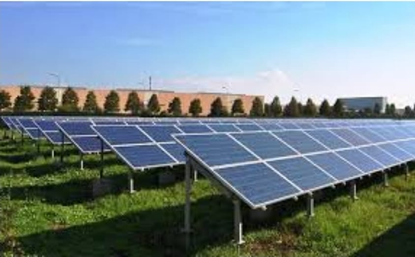 WhatsApp Image 2025-11-12 at 11.28.46 AM